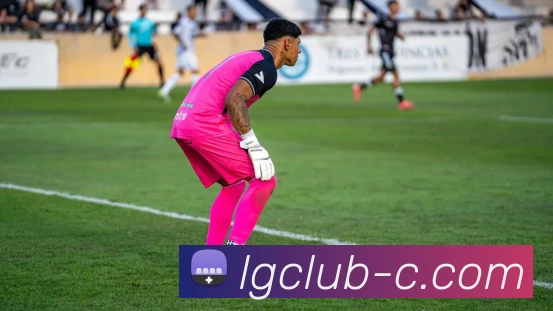 老哥俱乐部九游官网平台生态图